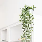 Appartement Guestready - Feels Like Heaven