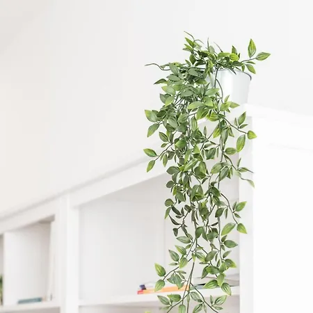 Apartment Guestready - Feels Like Heaven